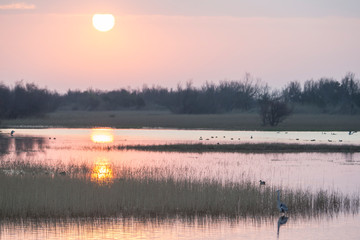 Sunrise at the lagoon.