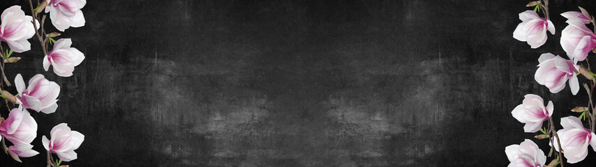 Obraz na płótnie Canvas Flourish magnolia isolated on black stone concrete texture background banner panorama