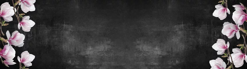 Fototapeten Gedeihen Magnolie isoliert auf schwarzem Stein Beton Textur Hintergrund Banner Panorama © Corri Seizinger