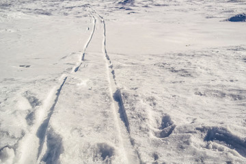 Footprints of a sled on the snow