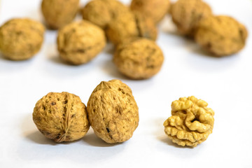 Some walnuts are isolated on white background.