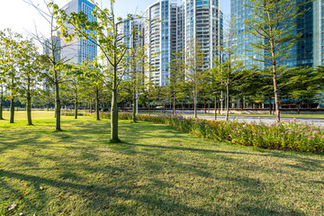 Obraz premium trees in the park