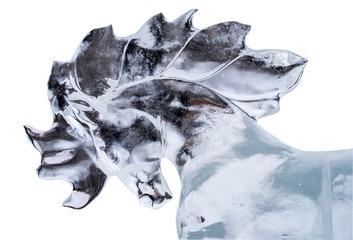Maned horse carved from ice isolated