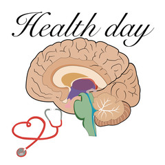 illustration of human brain and stethoscope vector 