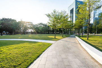 road in the park