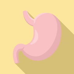 Donor stomach icon. Flat illustration of donor stomach vector icon for web design