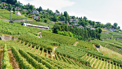 Fototapeta na wymiar Running train near Lavaux Vineyard Terraces hiking trail, Lavaux-Oron district near Swiss