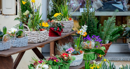 Fototapeta na wymiar Beautiful flowers in city street market in Germany