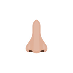 Nose icon. Human front nose. Vector illustration. 