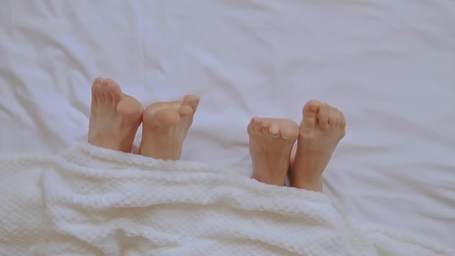 top view female and male legs under a white blanket people in bed in the morning