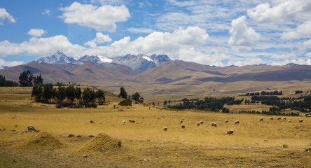Landscape of peruvian andean mountains.