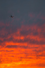 A Plane In The Sky