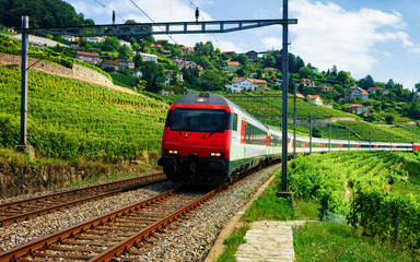 Naklejka premium Uruchomiony pociąg na linii kolejowej w pobliżu szlaku turystycznego Lavaux Vineyard Terraces, dystrykt Lavaux-Oron, Szwajcaria