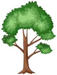 Big tree with many branches on white background