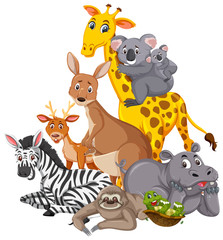 Plakat Different types of wild animals on white background