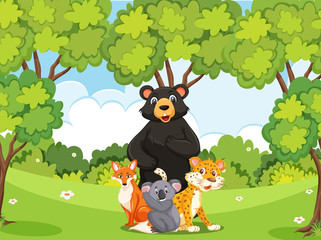 Scene with many wild animals in the forest