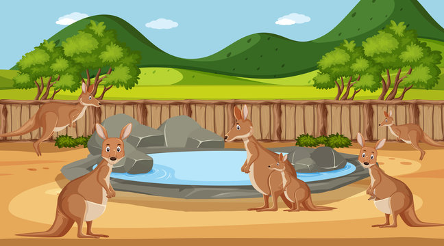 Scene with wild animals in the zoo at day time