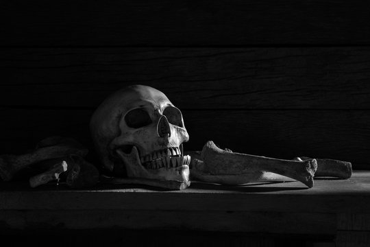 The skull and pile of bone on the wooden plank in dim light room