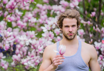 Man flowers background defocused. Botany nature. Male beauty. Hair care and beauty. Unshaven man magnolia bloom. Beautiful hairstyle. Hipster enjoy blossom aroma. Spring beauty. Hairdo styling