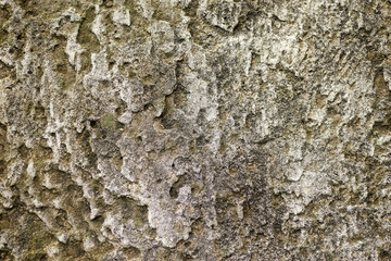 Uneven structure of stone, concrete with mold. Can be used as background.