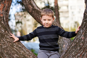A little boy climbed and sits on a tree.