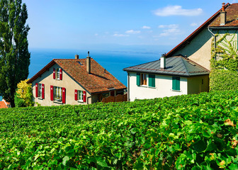 Fototapeta na wymiar Chalets on Vineyard Terrace hiking trail of Lavaux, Lake Geneva and Swiss mountains, Lavaux-Oron district, Switzerland