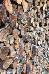 beautifully framed hardwood and coniferous firewood for drying firewood