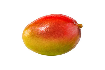 Perfect mango without leaf isolated on white