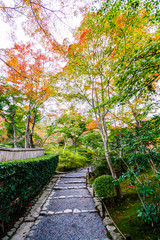 Colourful koyo (red leaf) in Tenryuji Temple, Kyoto