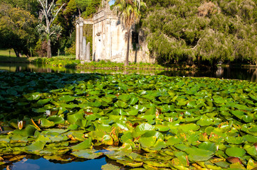View of the pond with waterlilies, English Garden, Caserta Royal Palace and Park, Italy