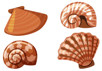 Set of isolated seashells in orange color