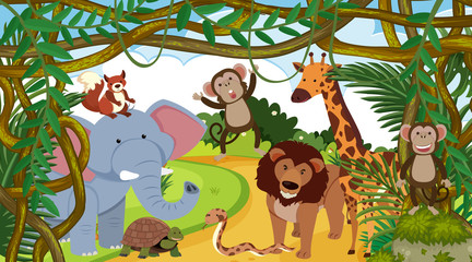 Fototapeta premium Background scene with many animals in forest