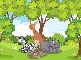 Obraz na płótnie Canvas Scene with many wild animals in the forest