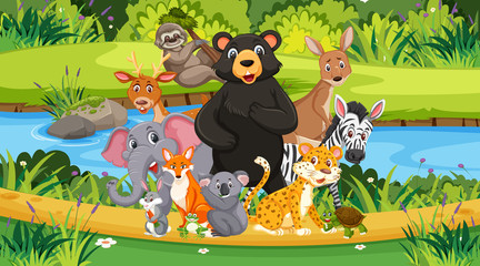 Scene with many wild animals in the park