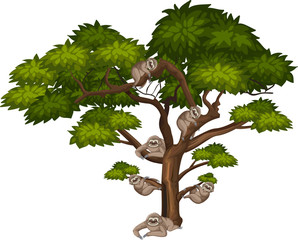 Big tree and many slothes on white background © brgfx