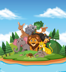 Scene with many wild animals in the park