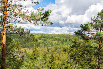 View to the coniferous forest in summer, Nuuksio national park, Espoo, Finland