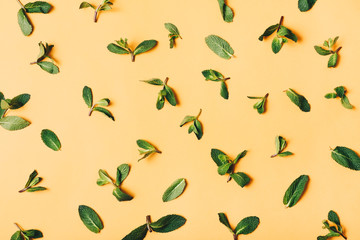 Fresh green mint leaves pattern on beige background, top view