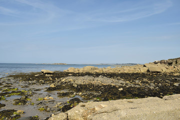 Fototapeta na wymiar Paysages marins rochers récifs falaises algues varechs de la côte bretonne littoral déchiqueté en Bretagne