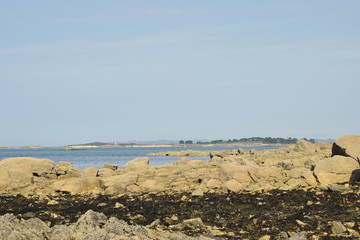 Fototapeta na wymiar Paysages marins rochers récifs falaises algues varechs de la côte bretonne littoral déchiqueté en Bretagne