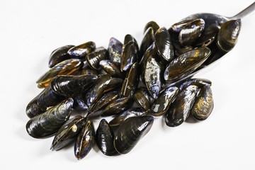 moules crues sur un fond blanc