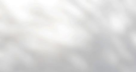 Abstract Shadows, blurred background of gray leaves and natural trees that reflect concrete walls, fallen branches on white wall surfaces for blurred backgrounds and black and white wallpapers.