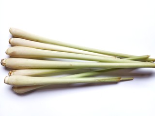 Fresh lemongrass on white background.