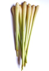 Fototapeta premium Fresh lemongrass on white background.
