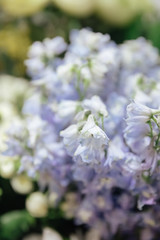 Flower shop concept. Different varieties fresh spring flowers in refrigerator room for flowers. Bouquets on shelf, florist business