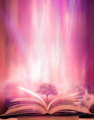 The book opens on a wooden table under the night sky in the light and light, the beautiful night...