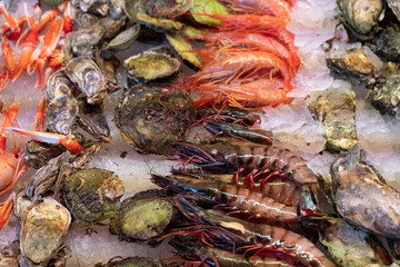 Shrimps and oysters shells on the ice, sea food on the market.