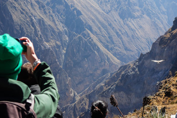 Arequipa/Peru: tourists take photos of the flying of the Condor, on the valley of 'Canyon del...