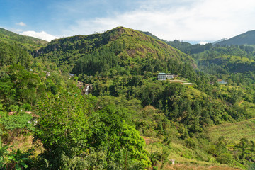 Tea plantations mountain green landscape, Sri Lanka, Nuwara Eliya