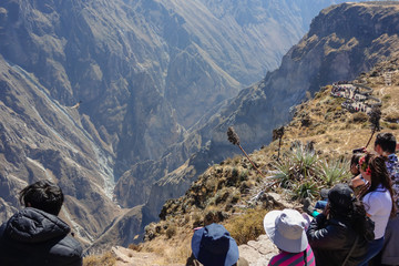 Arequipa/Peru: tourists seeing the flying of the Condor, on the valley of 'Canyon del Colca'